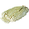 Enoki Pilz 100g x 50