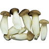 새송이 버섯 150g x 20
