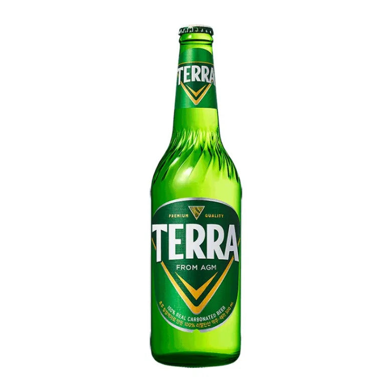 JINRO Terra Bier 4,6% 500ml x 12
